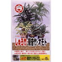 NISSHIN 日清商事 日清 しゅろ竹観音竹オモトの土 5L