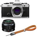 OM SYSTEM オーエムシステム OM-3 ボディ シルバー+ 25mm F1.8 IIレンズ+P-CB-295(アースブラウン) セット