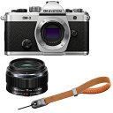 OM SYSTEM オーエムシステム OM-3 ボディ シルバー+17mm F1.8 II レンズ+P-CB-295(アースブラウン)セット