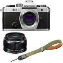 OM SYSTEM オーエムシステム OM-3 ボディ シルバー+17mm F1.8 II レンズ+P-CB-294(グラスグリーン)セット