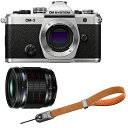 OM SYSTEM オーエムシステム OM-3 ボディ シルバー+ED 20mm F1.4 PRO単焦点レンズ+P-P-CB-295(アースブラウン)セット