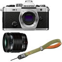 OM SYSTEM オーエムシステム OM-3 ボディ シルバー+ED 20mm F1.4 PRO単焦点レンズ+P-CB-294(グラスグリーン) セット