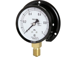 NAGANO 長野計器 普通形圧力計(B枠立形・φ75・G3/8B・0.0〜0.25Mpa) AC20-231-0.25MP