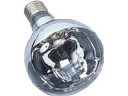 HATAYA ハタヤリミテッド リフレクターランプ300W (RC、RE、RG型用) RS-300WH