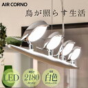 大河商事 TAIGASHOJI AIRCORNO016 AIRCORNO エアコルノ016 LEDシーリングライト 4灯 北欧 バードライト ホワイト