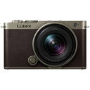 Panasonic パナソニック DC-S9N-N(チタンゴールド) LUMIX S9 広角ズームレンズキット 【パナソニック正規取扱店】 フルサイズミラーレス...