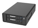 RAIDON TECHNOLOGY 2Bay 2 x CFexpress card 外付ストレージ U2F-B32