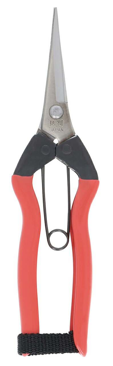 TAKAGI 高儀 ステンレス芽切・摘果鋏 185mm 越路×TAKAGI