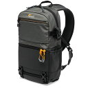 Lowepro ロープロ LP37334-PWW グレー スリングショット SL 250 AW III