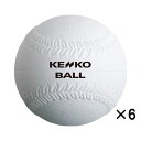 KENKO ナガセケンコー ソフトボール 3号 【1ダース/6個】 S3CNEW