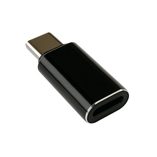 FSC PD対応ライトニング-)Type-C変換アダプター(メタルブラック) FS-ADLC02-MBK FSC PD対応ライトニング-)Type-C変換アダプター(メタルブラック) FS-ADLC02-MBK
