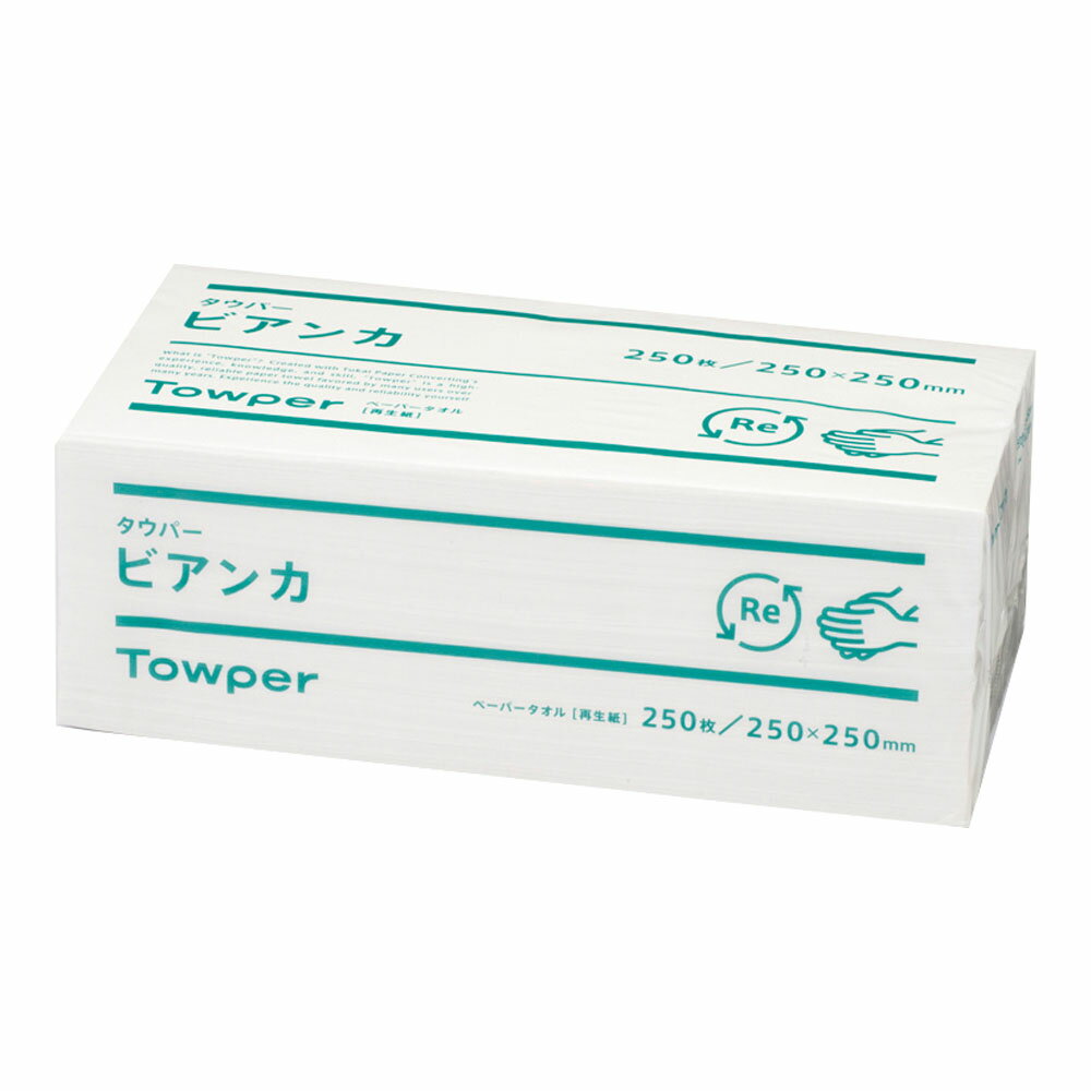 東海加工紙 トライフ タウパー ビアンカ L (1ケース12束入)