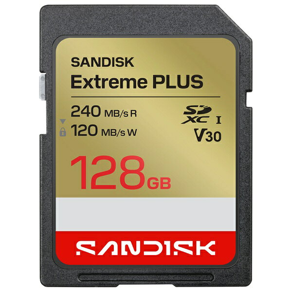 SDSDXWI128GJNJI　