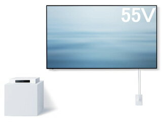 Panasonic ѥʥ˥å TH-55LW1L 55V 4K֥塼ʡ¢ͭELƥ ڲ졦彣̳ƻ¾ΥԲġ ֻԲġ