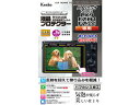 KENKO ケンコー KLP-PALX9 液晶プロテクター パナソニック LUMIX LX9/FZH1/FZ300用