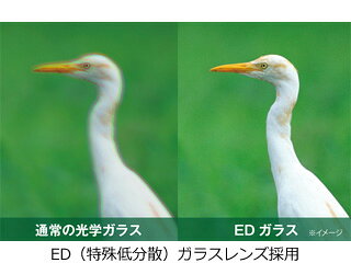KENKO ケンコー AVT-1025EDDH Avantar 10×25 ED DH 双眼鏡 アバンター【10x25】 【...