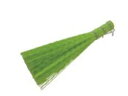 Hayakawa 早川工業 魚の内臓取り ササラ(ポリプロピレン)