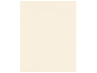 HAKUBA ハクバ M790-2LT-1　無地台紙 No.790 2L（カビネ）サイズ 1面 （タテ）