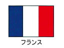 川正染工 エクスラン万国旗　70×105／フランス