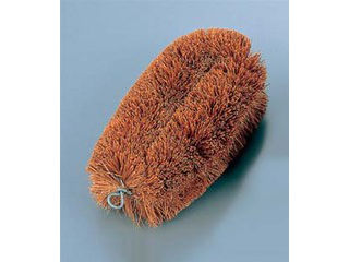 TAKASAGO 高砂 正直タワシ　中　130×80