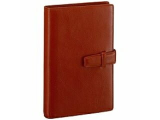 RF/Raymay Fujii/レイメイ システム手帳 DB3006C