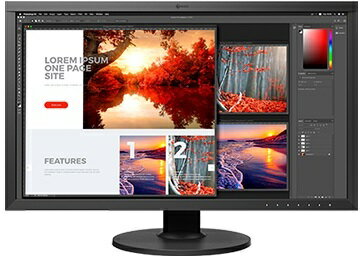 EIZO 26.9磻ɱվǥץ쥤 CS2740-BK 38402160/HDMI DisplayPort Type-C/֥å ñʹΤ߲ġƱ쾦ʤǤʣġ 쥸åȥɷ ѤΤ