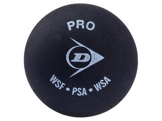 å DUNLOP DA50036PROXXåѥܡ롡1ñ̤Ȥʤޤ