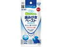 EARTH アース・ペット エブリデント 歯みがきペースト 40g(4)