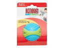 KONG コングジャパン コング コアストレングス ボール