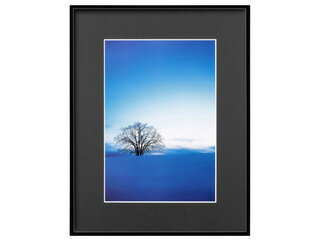 HAKUBA ハクバ FZG01-A4BK(ブラック)　ZEROフレーム G-01 A4