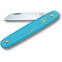 VICTORINOX rNgmbNX t[XgiCtXg[g u[#3.9050.25B1