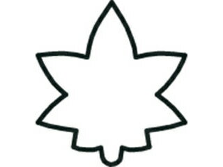 KANDA カンダ たかもりの生抜 極小 紅葉