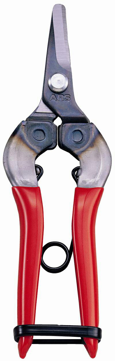 ARS アルスコーポレーション 採果鋏(ブリスターパック入り) 310-BP