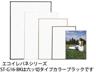 ARTE  ѥ ϻ (֥å) ST-G16-BK