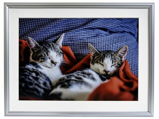 FUJICOLOR フジカラー A15(シルバー) アルミ額縁 ワイド6切