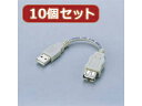 ELECOM エレコム 【10個セット】 エレコム USB2.0スイングケーブル USB-SEA01X10(2)