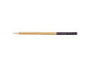 ARTEC 【10個セット】 ARTEC 彩色筆 中 ATC10741X10(3)