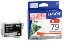 EPSON エプソン SC-PX5V2用 インクカートリッジ（グレー） ICGY79A1