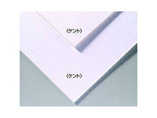 ARTEC 【10個セット】 ARTEC A&Bオリジナルアートボード B3ケント ATC143302X10