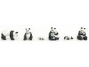 KATO カトー 1/87 パンダファミリー (7体入) 28-850