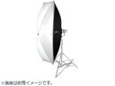 Phottix フォティックス Phottix G-Capsule Softbox 30x140cm