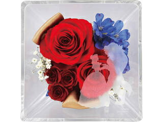 ★★★エテルネルフルール ディズニープリンセス(美女と野獣) 2022DO-002SH