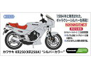 Hasegawa nZK JTL KR250iKR250AjgVo[J[h 21747