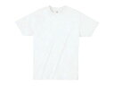 ARTEC ARTEC ATドライTシャツ LL ホワイト 150gポリ100% ATC38587
