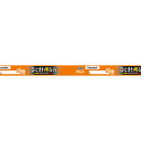 Hotalux ホタルクス FL10EX-L-X2 ライフルックHGX 10形 電球色