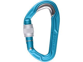EDELRID エーデルリッド クライミング カラビナ ブレットプルーフスクリューII ER73811 アイスミント B)