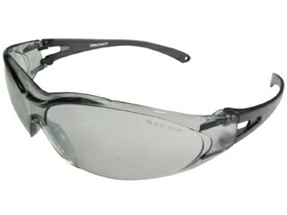 SANKYO 三共コーポレーション セーフティゴーグルグレー DT-SG-12LG #360108