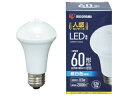 IRIS OHYAMA アイリスオーヤマ LED電球人感センサー付 E26 60形相当 昼白色 810lm LDR9N-H-SE25