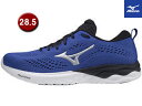 ں߸˸¤ ߥ mizuno ֥ܥ228.5cmۡ(֥롼xСx֥å) J1GC2181