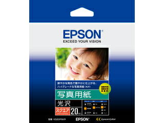 EPSON/Gv\ ʐ^p()iXNGA/127mm~127mm/20j KS20PSKR